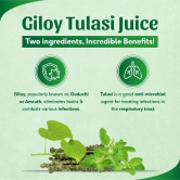 Sri Sri Tattva Giloy Tulasi Juice | 500ml