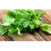 Coriander Leaves