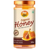 ANP BEE Honey Raw Organic Honey 500 g