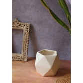 White Hexagon Planter