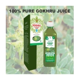 Axiom Patharchur + Gokhru + Punernava Liquid 1500 ml Pack Of 1