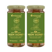 Sanjeevani 100% Natural Neem Honay Combo Pack 600g (300gx2, Pack of 2) | Raw & Unpasteurized Honey | Glass Jar Value Pack of 2