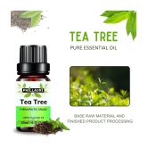 Phillauri Tea Tree Others Essential Oil Fruity With Dropper 30 mL ( Pack of 1 )