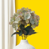 Hydrangea Bloom Bunch Off-white