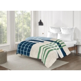 Trident Home Essential Double Size Blanket, 100% Micro Polyester, King Bed Blanket, 2.5kg-Ellis