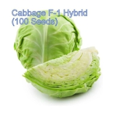 Super Saver Combo of 4 Hybrid Vegetables (Cabbage, Cauliflower, White Radish & Red Carrot) F1 HYBRID