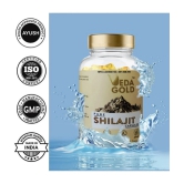 VEDA GOLD SHILAJIT CAPSULES FOR MEN & WOMEN / PURE HIMALAYAN SHILAJIT IN 30 CAPSULE FORM 100% PURE