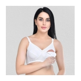 Desiprime - White Cotton Solid Womens Maternity Bra ( Pack of 1 ) - 36B