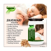 rawmest Shatavari Powder 100 gm Pack Of 1