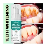 Phillauri Dentist Recommended Denture Oral Kit