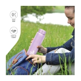 Milton Aqua 1000 Stainless Steel Water Bottle (950 ml) Purple - Purple