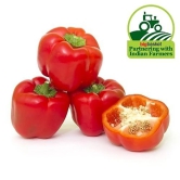 Red Capsicum 250 gm