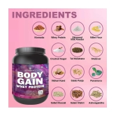 Nutriley Body Gain Whey Protein ( 500 gm , Vanilla - Flavour )