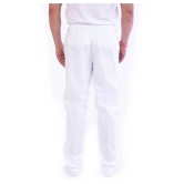 DESHBANDHU DBK White Cotton Joggers Single - 32