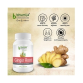 BHUMIJA LIFESCIENCES Ginger Root Capsules 60 no.s