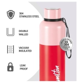 Milton Ancy 750 Thermosteel Water Bottle, 750 ml, Red | 24 Hours Hot and Cold | Easy to Carry | Rust Proof | Tea | Coffee | Office| Gym | Home | Kitchen | Hiking | Trekking | Travel Bottle -