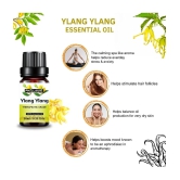 Phillauri Ylang-Ylang Others Essential Oil Fruity With Dropper 60 mL ( Pack of 2 )