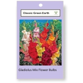 CLASSIC GREEN EARTH - Gaillardia Mixed Flower ( 4 Seeds )