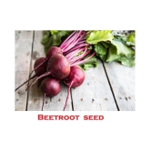 Beetroot Microgreens Organic Vegetable Seeds ( 50 Seeds per packet)