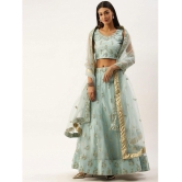 Om Shantam Sarees Grey Net Chaniya Choli Semi Stitched Lehenga Single - Free Size