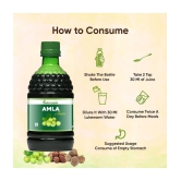 NUTROCOPIA Amla Juice - 400 ml | Rich Source of Vitamin C | Effective Antioxidants for Immunity boosting | Pure, Natural and 100% Ayurvedic Juice