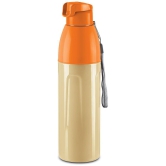 Milton Kool Convex 700 Insulated Inner Pet Water Bottle, 560 ml, Ivory | Easy To Carry | Leak Proof | School | Office | Gym | Hiking | Treking | Travel Bottle - Ivory