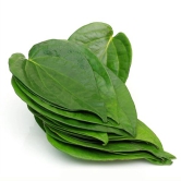 Betel Leaf, 1 Pc