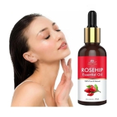 Intimify Rose Hip Oil Face Essential Oil Face Care Skin Brightening Oil 30ml