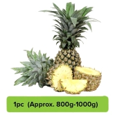 Pineapple One Piece