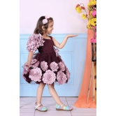 Childbird Wine Color Net Kids Frock Dress-3-4 Year