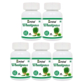 Zindagi wheatgrass capsule 300 gm Multivitamins Capsule Pack of 5