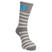 Dollar Socks Multi Casual Full Length Socks Pack of 3 - Multi