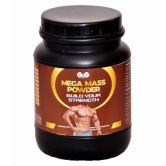 Rikhi GG Mega Mass (Weight Gainer) Powder 300 gm Pack Of 1