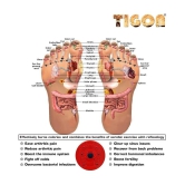 Tigon Tummy Twister Acupressure Twister (Magnets) Useful for Figure Tone-up Magnetic Twisting Machine Tummy Twister-Abdominal Trimmer-Waist Trimmer-Abs Exerciser-Body Toner-Fat Buster - Asso