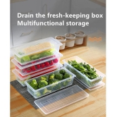 Food Storage Fridge Container For Fish,Meat,Egg And Vegetable Storage  1500 Ml Fish and Egg Plastic Food Container Set of 2 1500 mL - Transparent