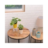Ugaoo Good Luck Indoor Plants For Home With Pot - Jade Plant & Money Plant Variegated