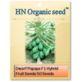 homeagro - Fruit Seeds ( Red Lady Papaya Pack (50Seeds) )