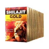 Rikhi G&G Shilajit Gold - Caps 10 no.s (Pack Of 10)