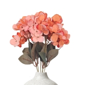 Hydrangea Bloom Bunch Orange