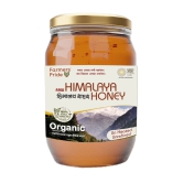 Organic Himalayan Honey