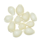 Aksaya Marketing Marble White Kodi Shell - Pack of 11