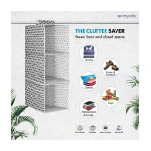 PrettyKrafts - Collapsible Wardrobes ( Pack of 2 )