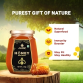 Auric Pure 250g Honey Crafted from Multi-Flower Sources, 100% Purity with No Added Sugar