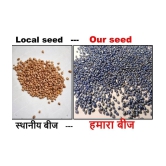 shivam organic seeds - Fruit Seeds ( 100 + seeds )