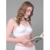 Dollar Missy White Cotton Non Padded Womens Everyday Bra ( Pack of 1 ) - None