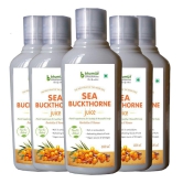 Bhumija Lifesciences  Sea Buckthorne Juice  Energy Drink 2500 ml Pack of 5