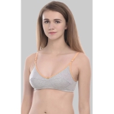 Elina - Beige Cotton Non Padded Womens T-Shirt Bra ( Pack of 2 ) - None