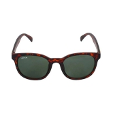 Creature - Green Panto Sunglasses ( POST-006 ) - Large