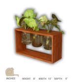 Barish Home DECORS - Table Top Planter 3 Jars | Wooden Planter with 3 Mason Jar | Handcrafted with Rubberwood | Table Top Planters for Indoor Decoration | 21 x 38 x 13 cms (H x W x D)