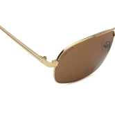 Brown Navigator Sunglasses for Men